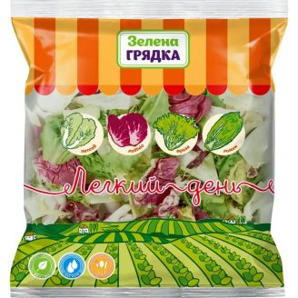 Салатний мікс "Легкий день" 180г