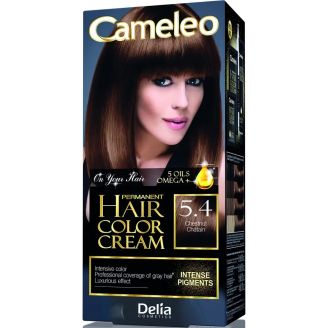 Delia Cameleo Фарба для волосся стійка 5.4 каштан